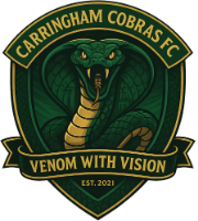 File:Carringham Cobras FC logo.png