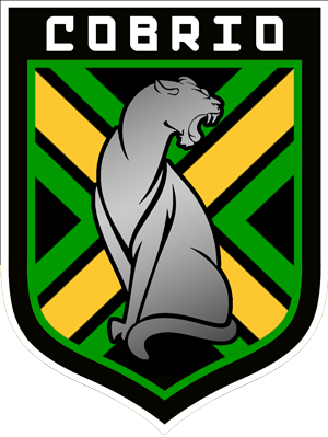 File:CFFLogo.png