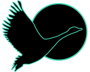Copa del Ganso (Sungoose).png