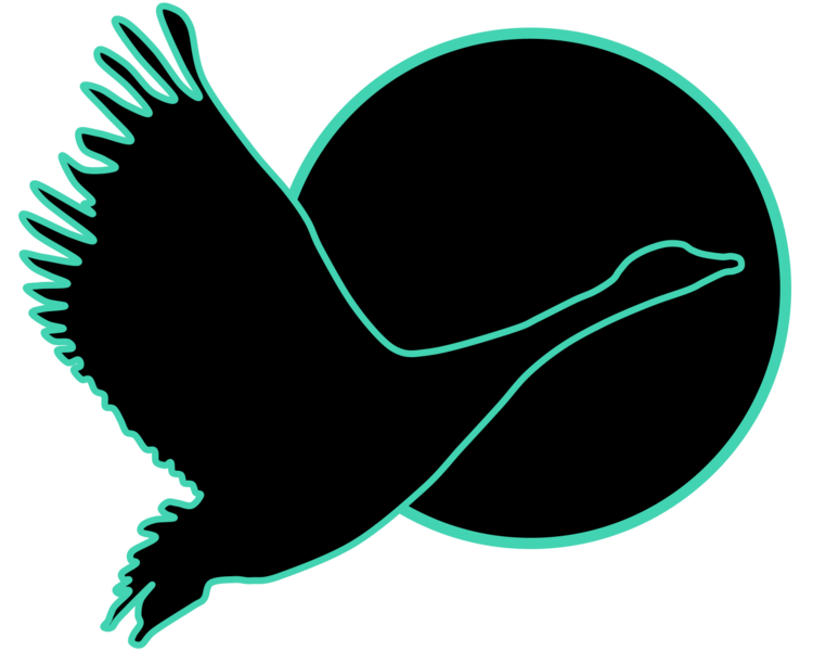 File:Copa del Ganso (Sungoose).png