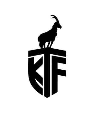 KT Ferramendiak logo.png