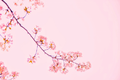 Thumbnail for version as of 09:30, 1 November 2023