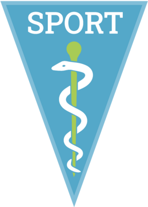 Ibarbe Sport logo.png