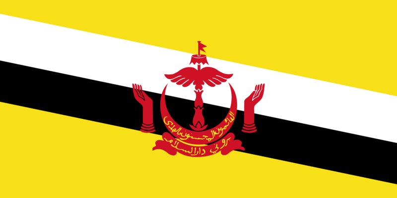 File:RevidaFlag.png