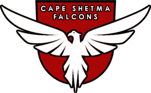 Cape Shetma Falcons FC.png