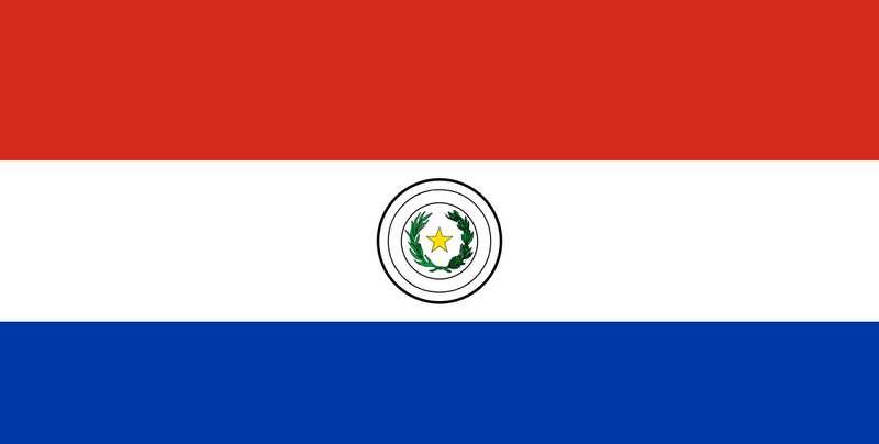 File:Flag of Yguazu.png