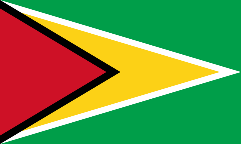File:Flag of Kaze Progressa.png