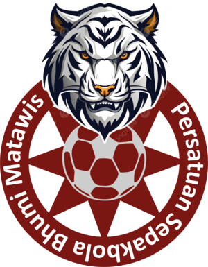 PSBM logo.png