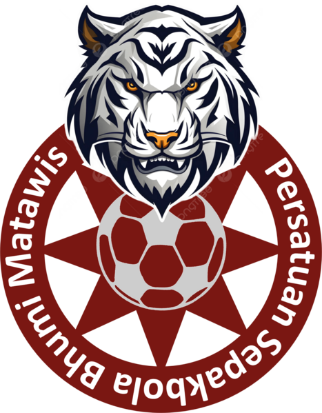 File:PSBM logo.png
