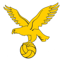 Shirt badge/Association crest