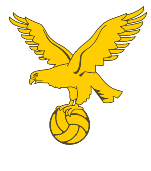 ChoppyhausenianFA logo.png