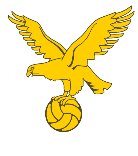 File:ChoppyhausenianFA logo.png