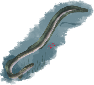 1yseel.png