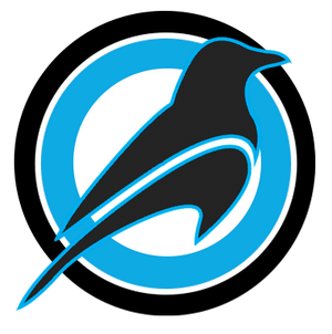 Raven Thöni logo.png