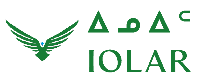 File:Iolar Airways.png