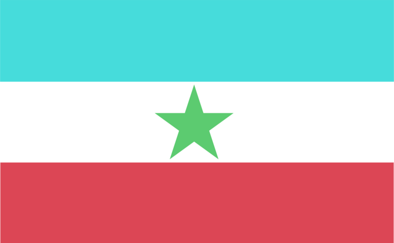 File:Flag of Bollonich.png